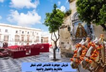 شريش: جوهرة الأندلس التي تنبض بالتاريخ والخيول والنبيذ 2 شريش: جوهرة الأندلس التي تنبض بالتاريخ والخيول والنبيذ